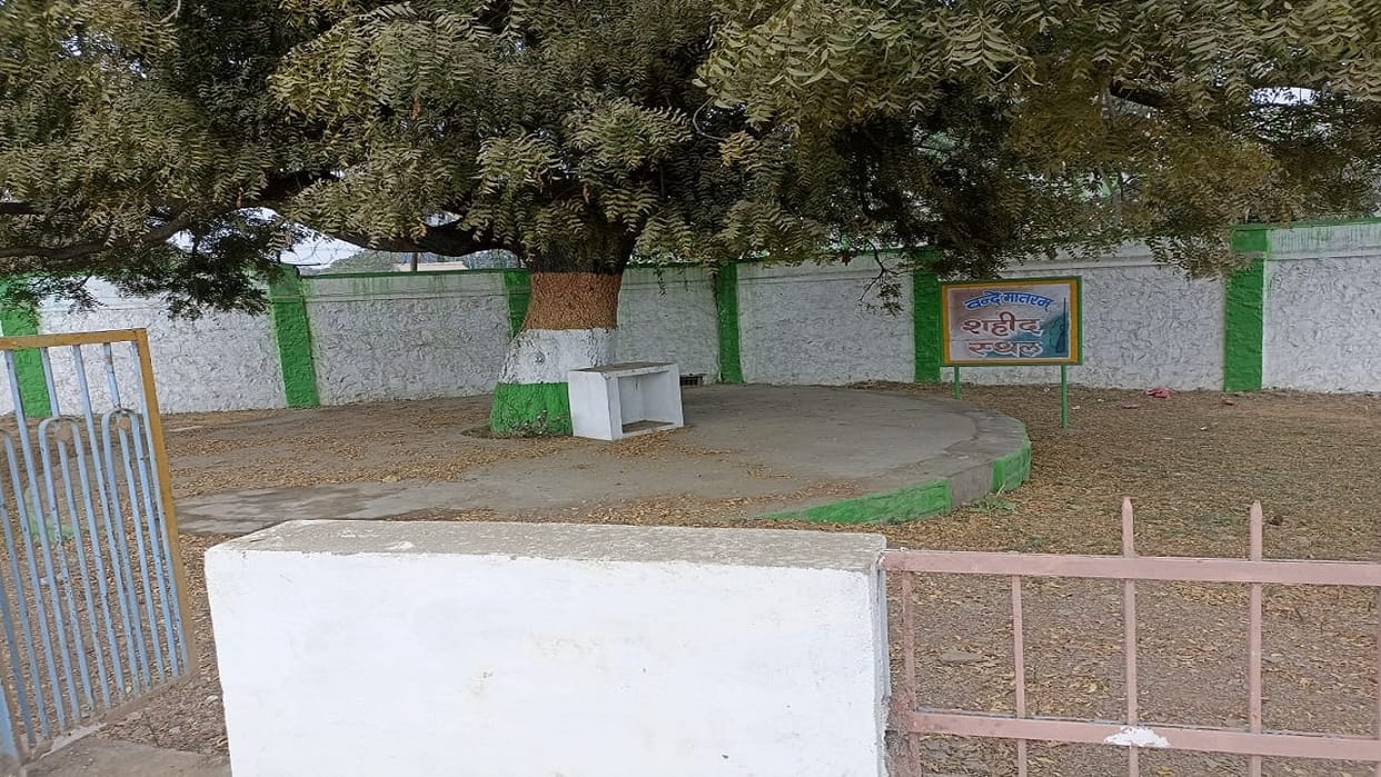 Tribute to martyrdom: Damoh Fasia Nala has a unique history in freedom movement