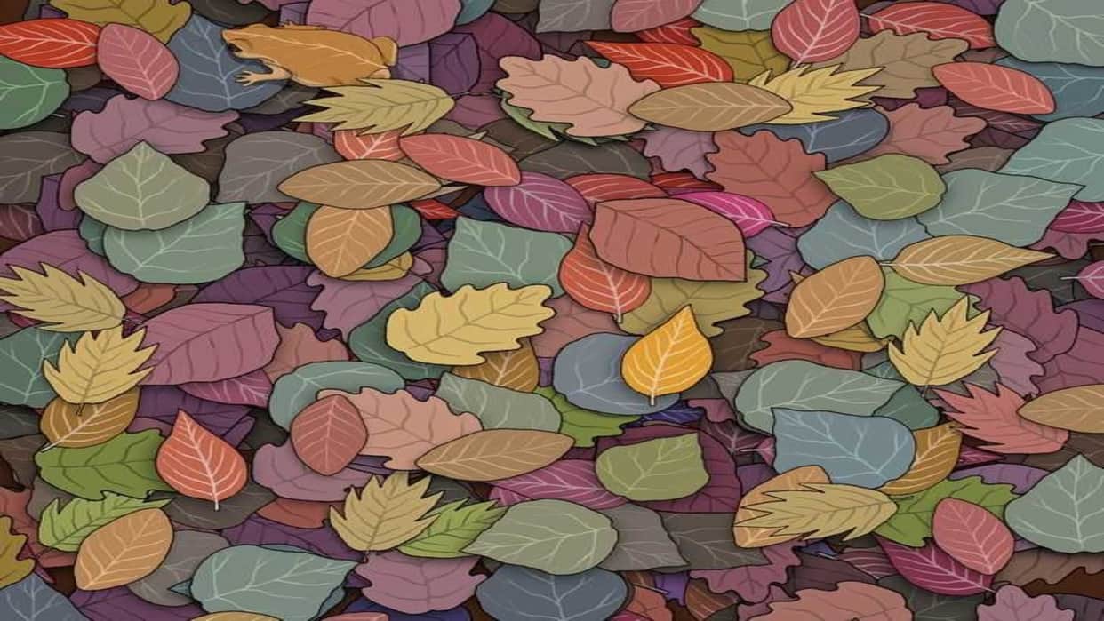 Optical Illusion IQ Test:  can you spot the hidden Frog between the Leaves in 7 secs! check your brain iq