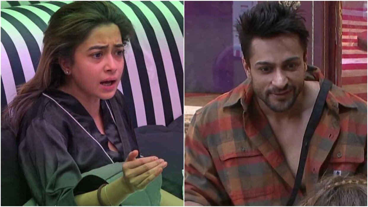 Bigg Boss 16 Shalin Bhanot and Tina Datta had a fight during task archana gautam priyanka chahar choudhary