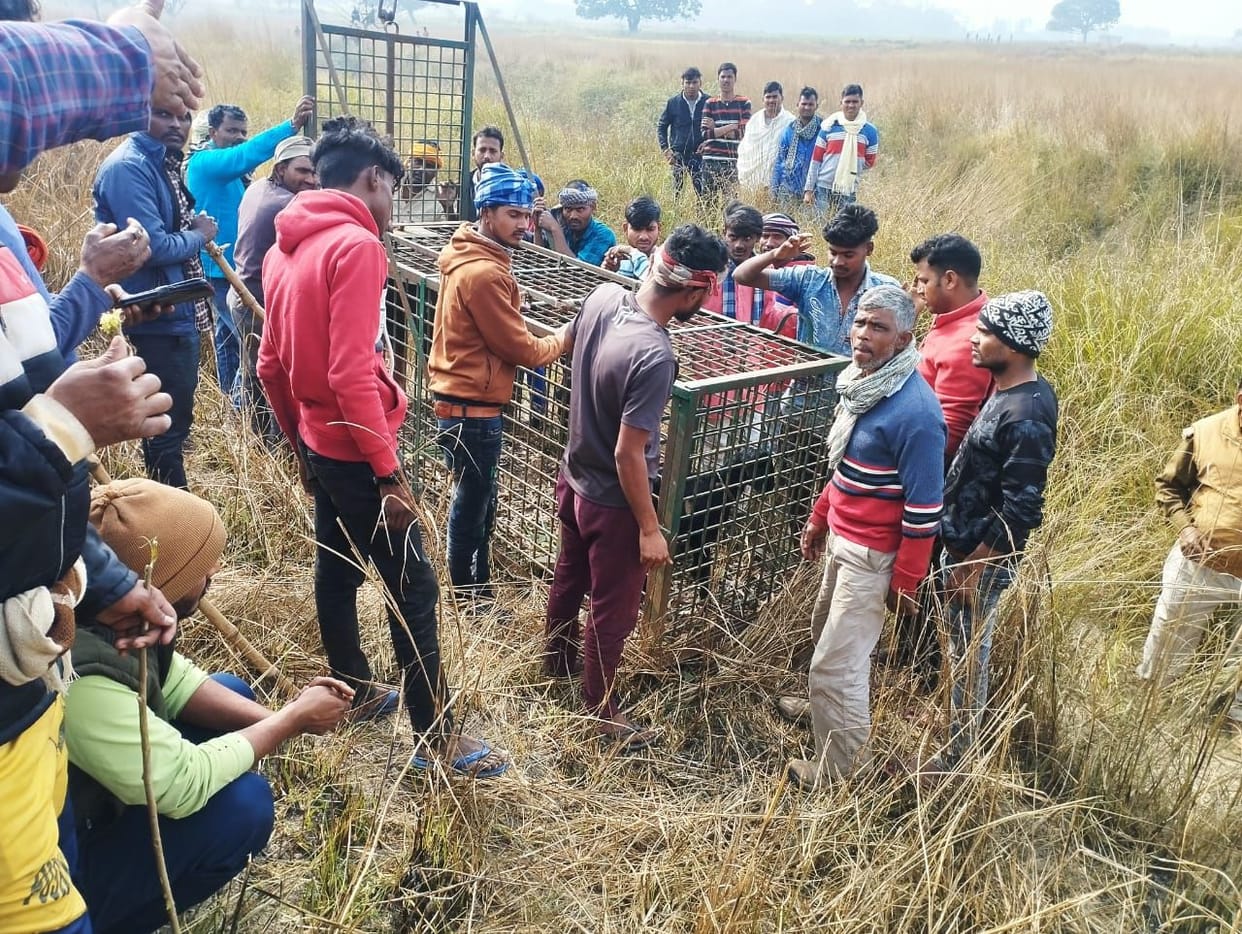 Wild animal injured two people in Ballia