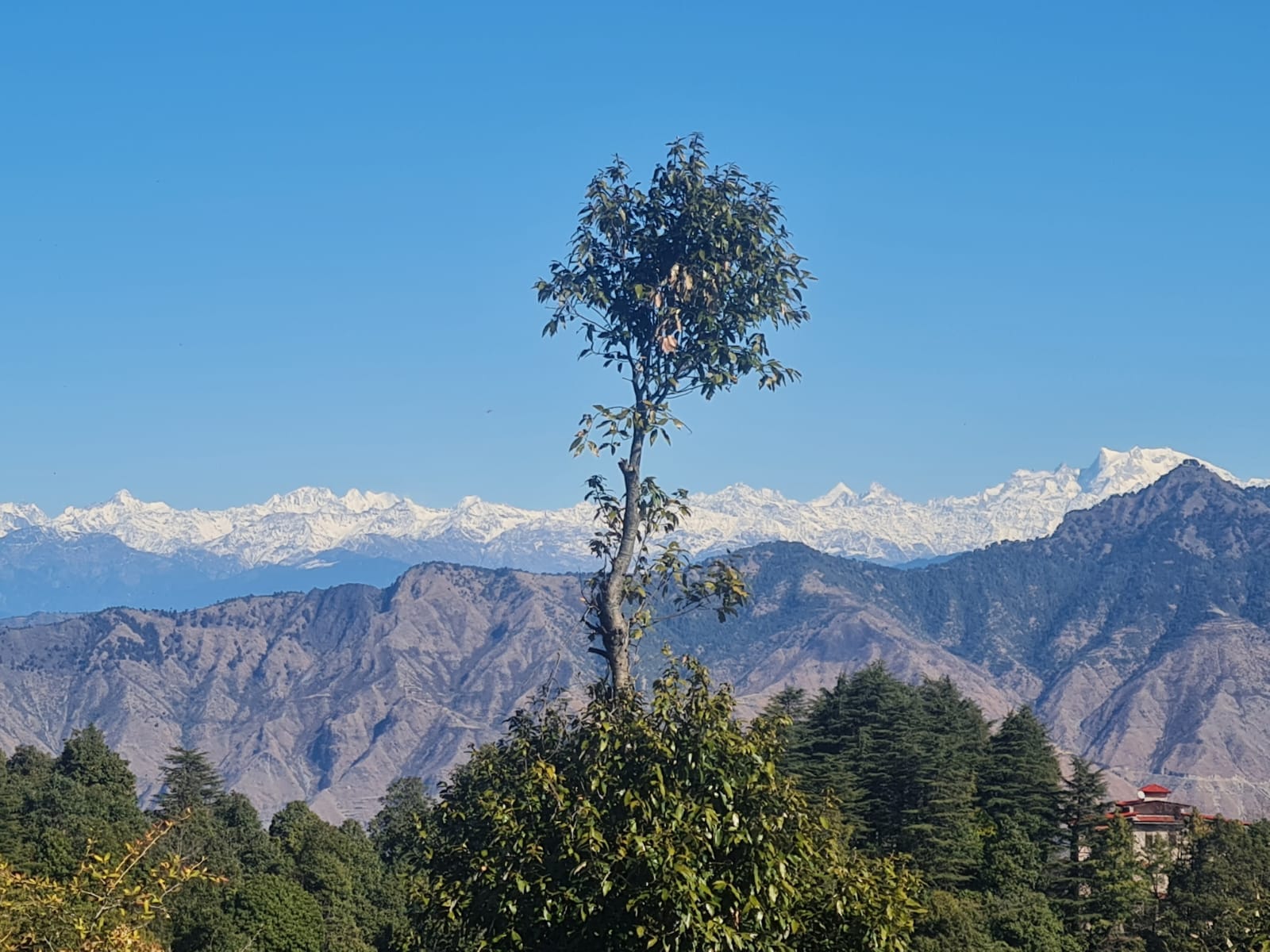 Mussoorie Winter line and Snow Covered Himalaya Beautiful Photos