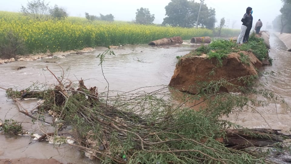 Water released in canal under construction, more than 50 acres of crops submerged in three villages in Rewari
