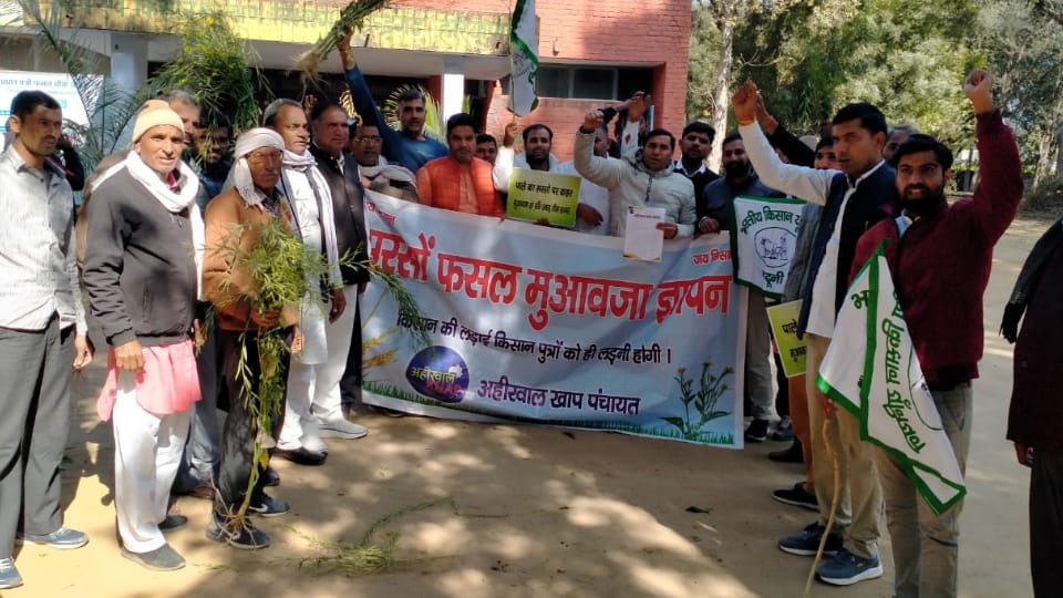Farmers protest at Agriculture Development office demanding compensation in Mahendragarh