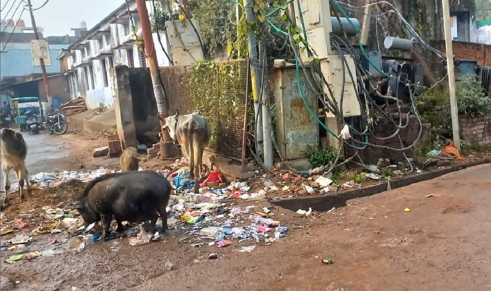 removal of the employees, cleaning system broke down, garbage accumulated at many places