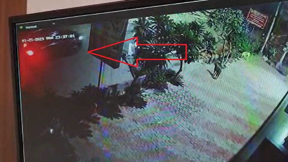 woman who was feeding dogs in Ghaziabad miscreants attempt to forcibly sit in car