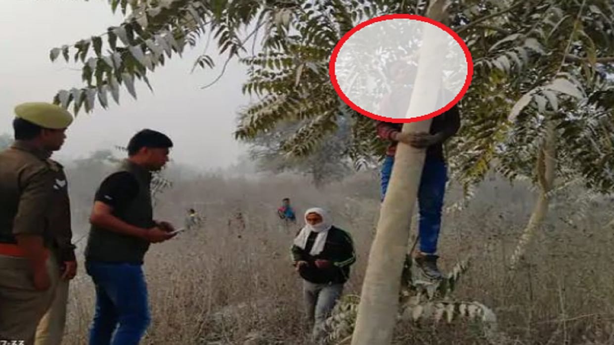 Dead body of laborer missing from mining area found hanging on tree, used to work as laborer at stone crusher