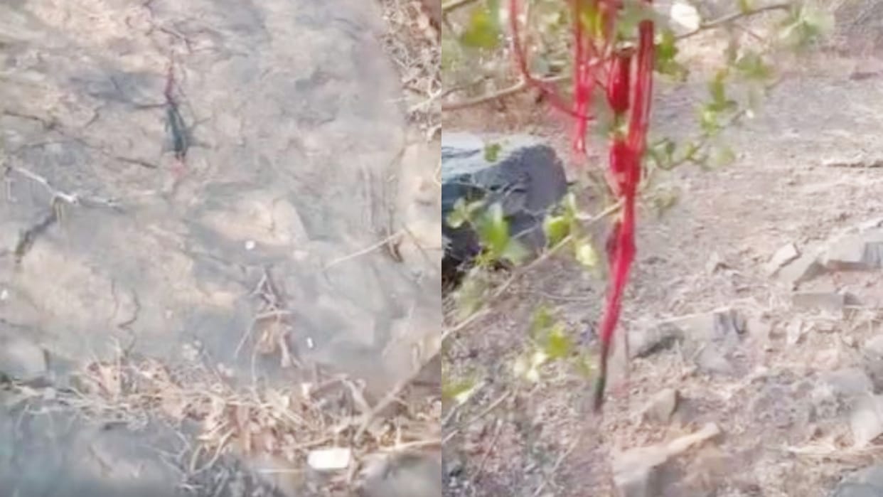 Rajasthan Looted jewelry after killing an elderly woman in Rajsamand