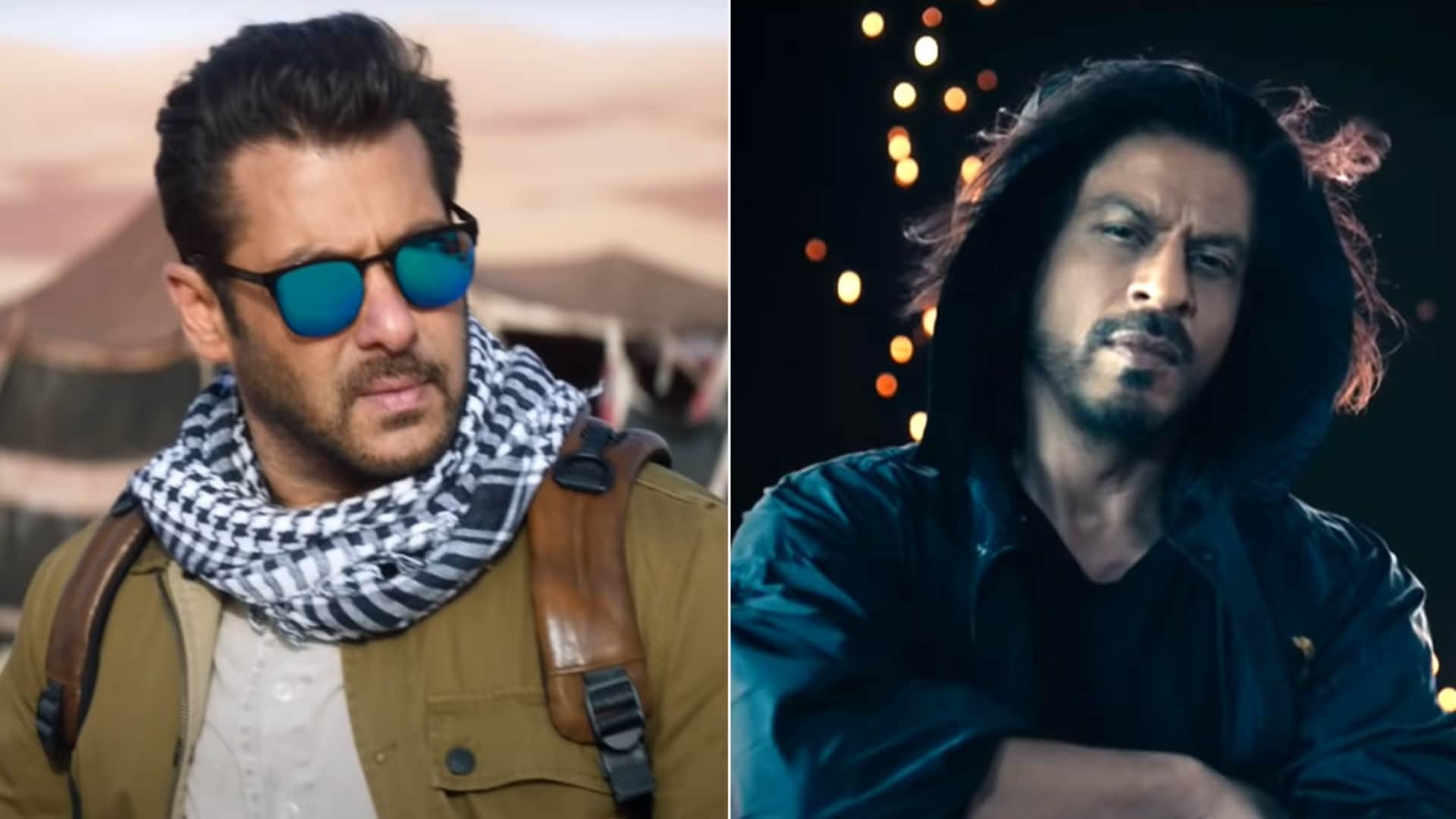 Salman Khan Tiger 3 Shahrukh Khan will Appear in Cameo role in he is preparing special wig for his look