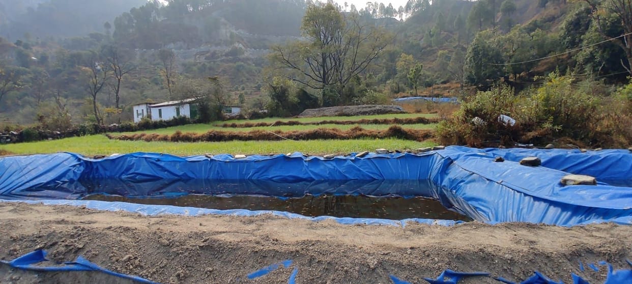 Fish Will be New Job Creator In Bageshwar