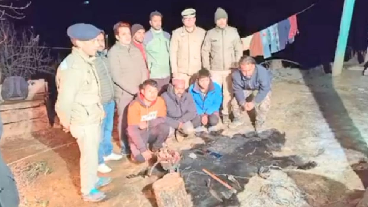 Black bear hunted with a trap in Shimla's Nankhadi