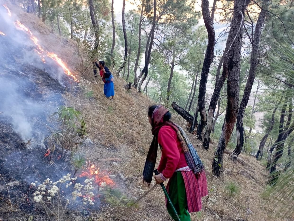 Dwarahat Forest Gets Fire