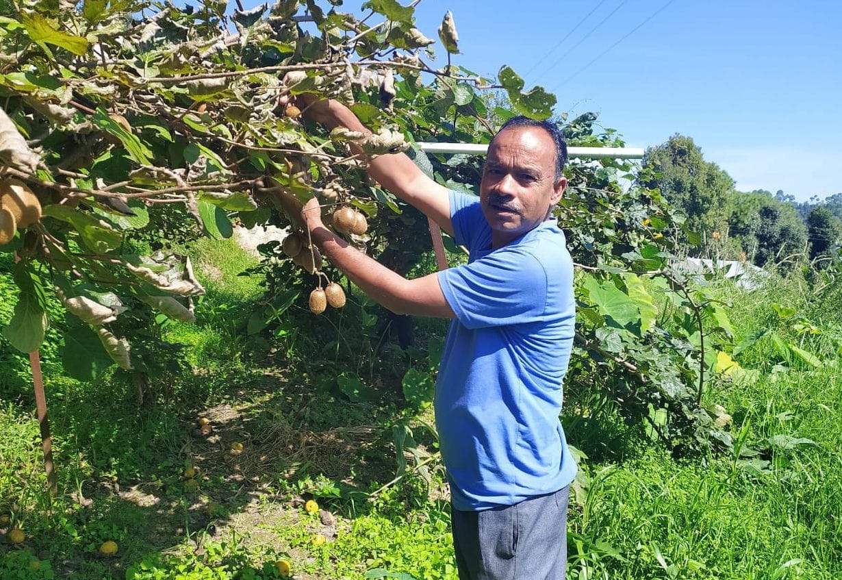 Keevi Farming in Champawat