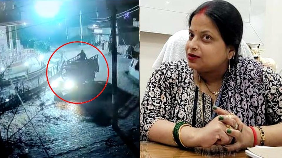 police searching buffaloes of District Panchayat President Mamta Yadav in Shahjahanpur