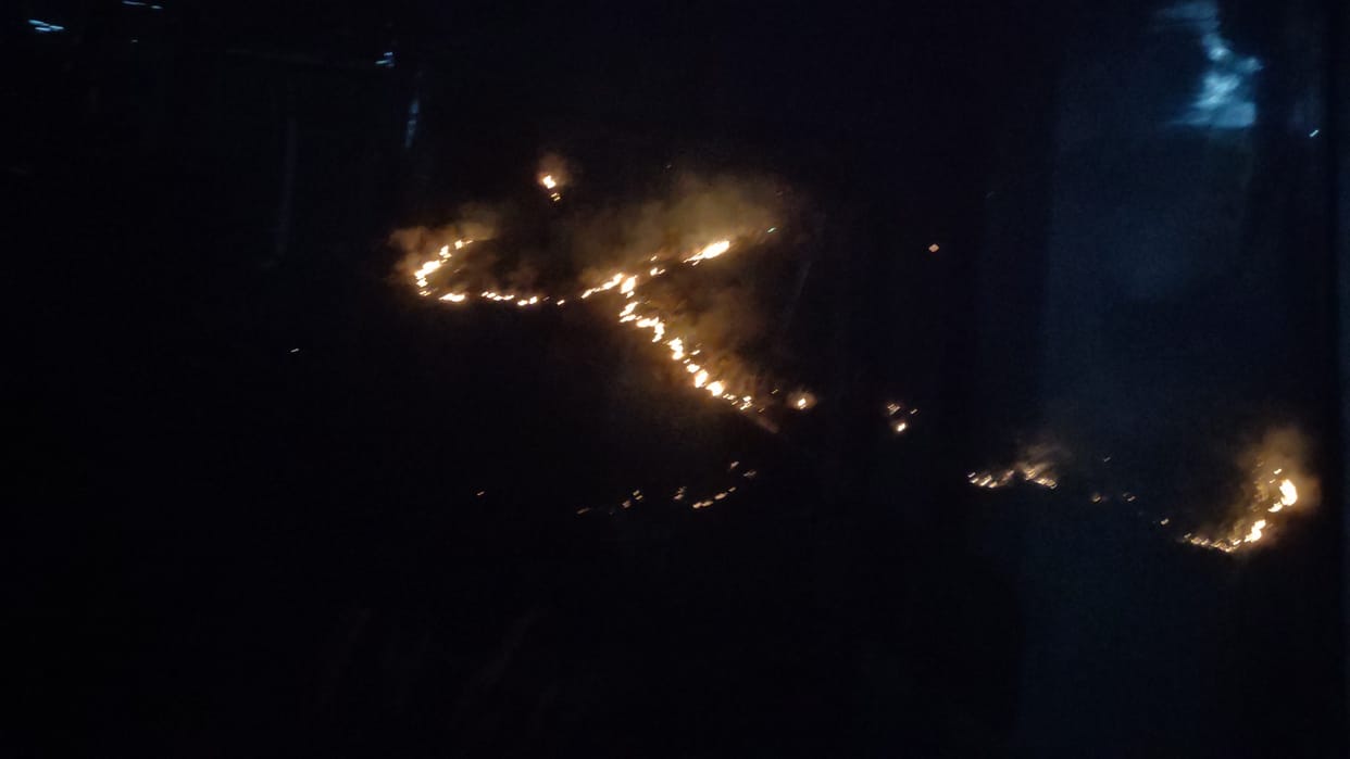 forest fire in sharot forest