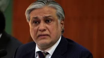 पाकिस्तान के विदेश मंत्री इशाक डार