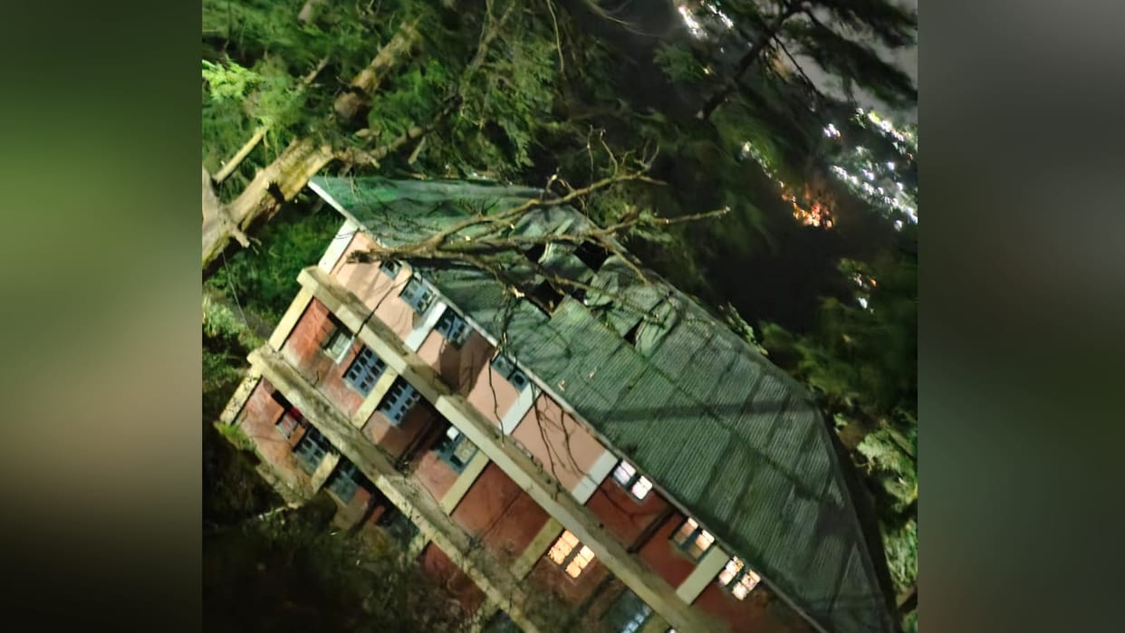 shimla news: tree fall building damaged in Police Line Kaithu Shimla