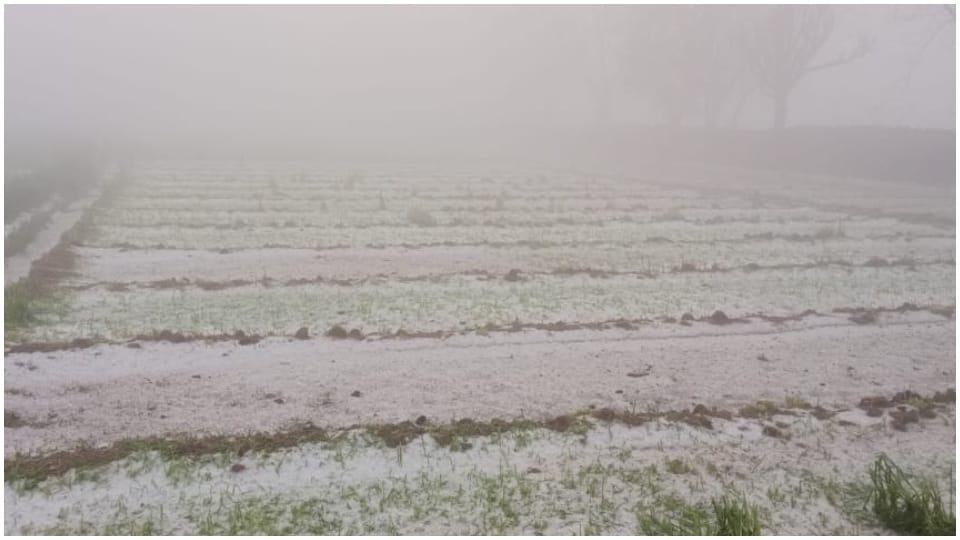 Hail fell with rain in Udaipur snow covered the roads and fields Rajasthan weather