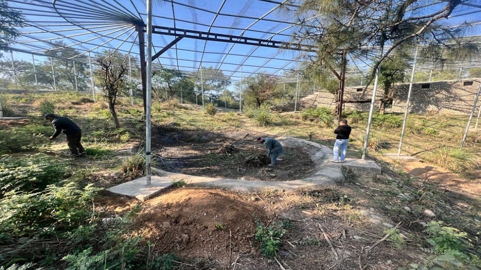 Jammu: Trial run in Jambu Zoo on 26th animals will be shifted from Manda Wildlife Conservancy