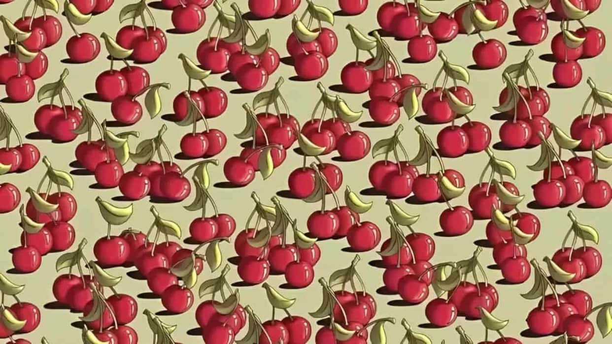 Optical Illusion: Can you Spot the tomato among cherries in 9 seconds Check your brain iq