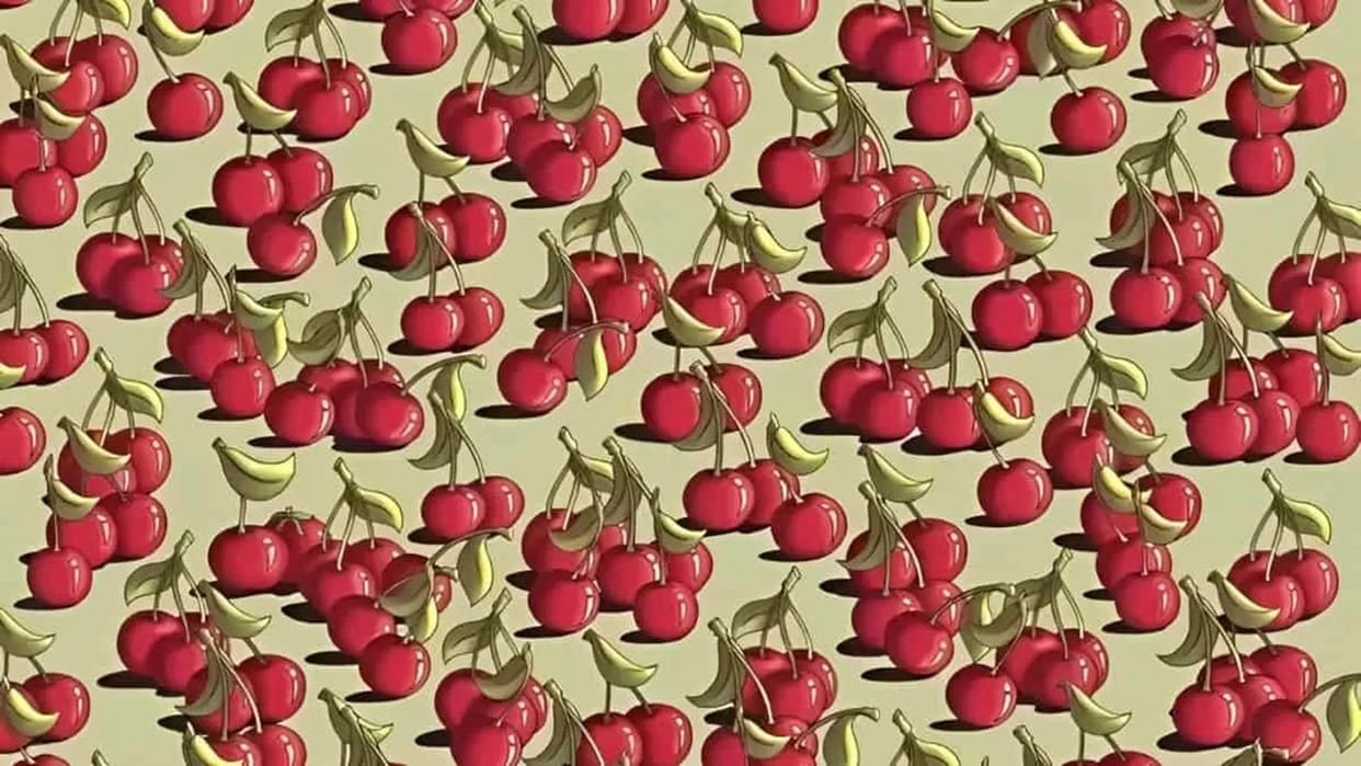 Optical Illusion: Can you Spot the tomato among cherries in 9 seconds Check your brain iq