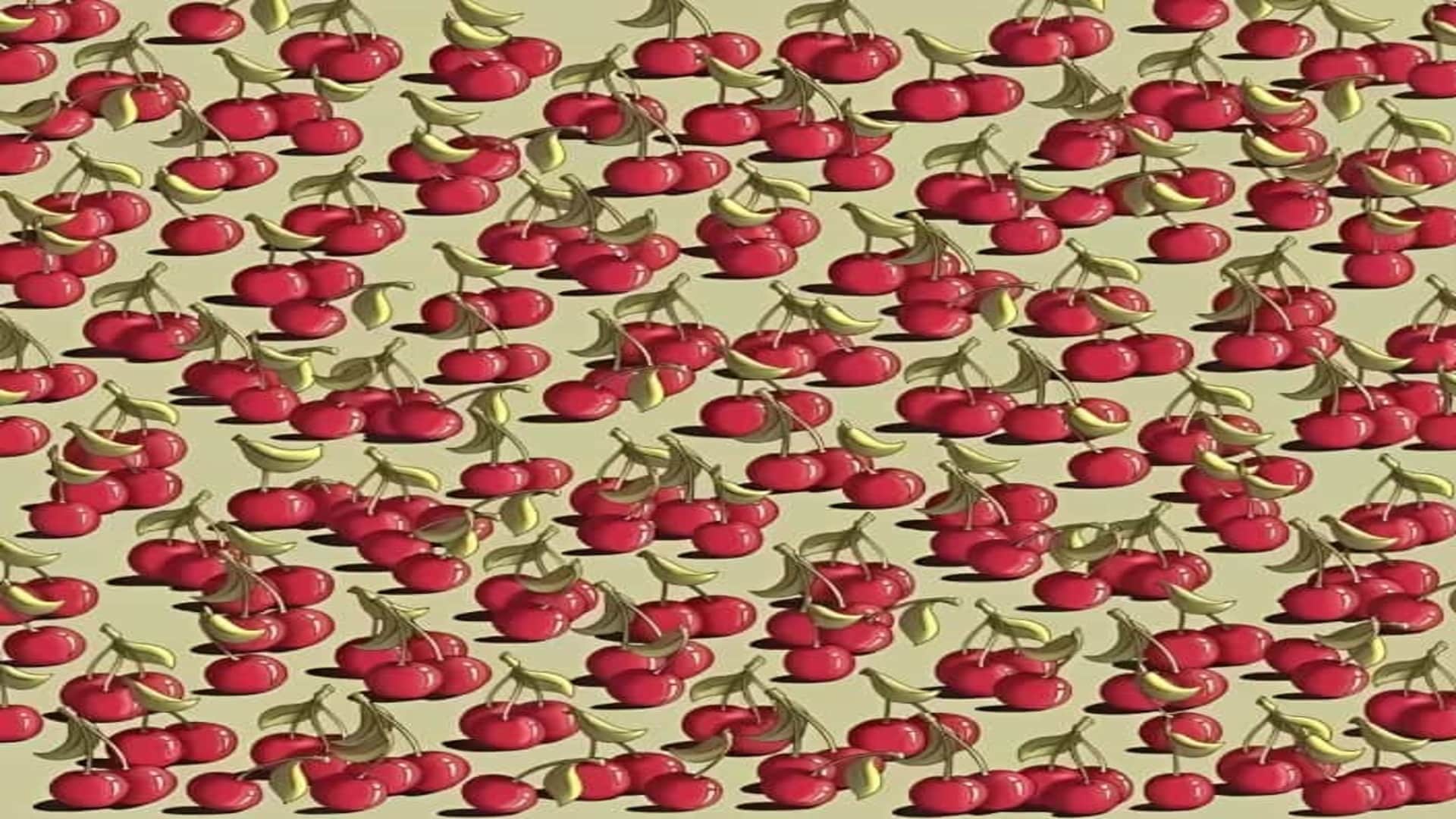 Optical Illusion: Can you Spot the tomato among cherries in 9 seconds Check your brain iq