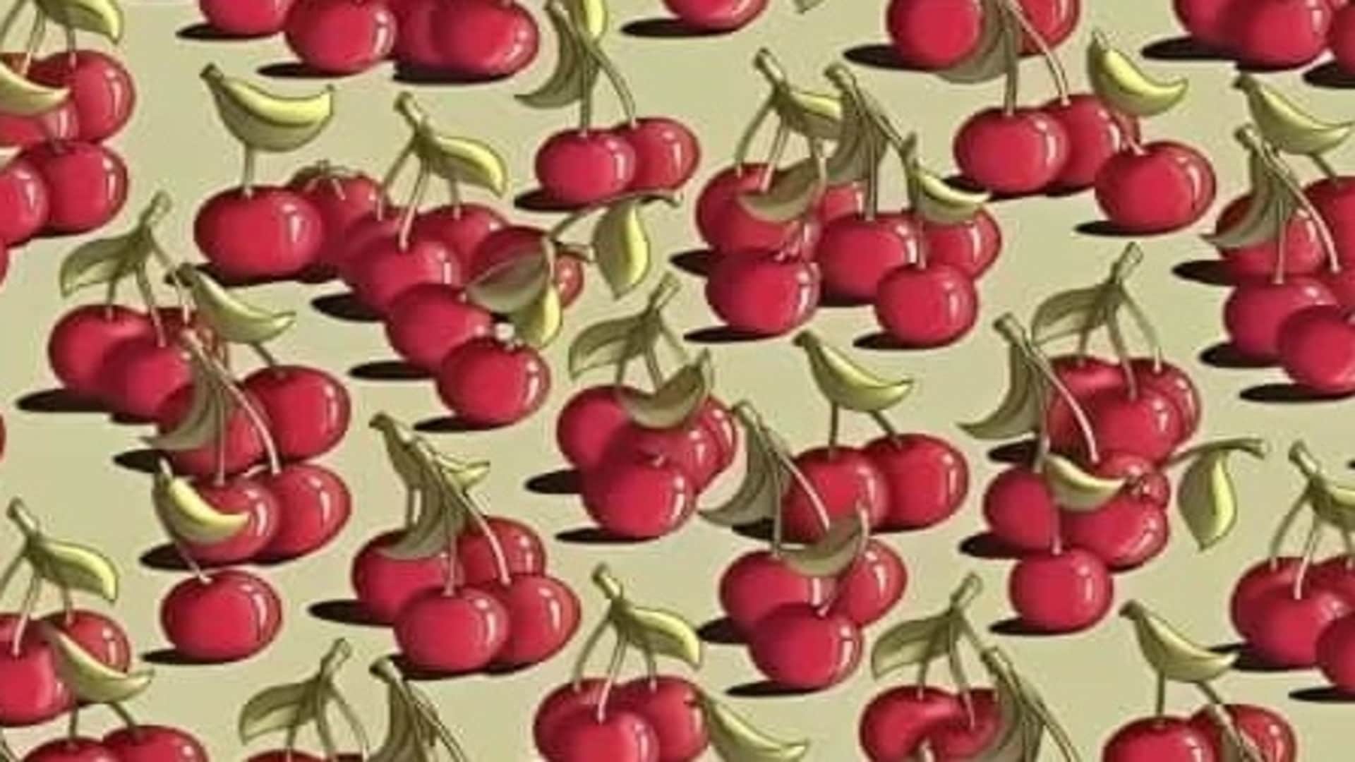 Optical Illusion: Can you Spot the tomato among cherries in 9 seconds Check your brain iq