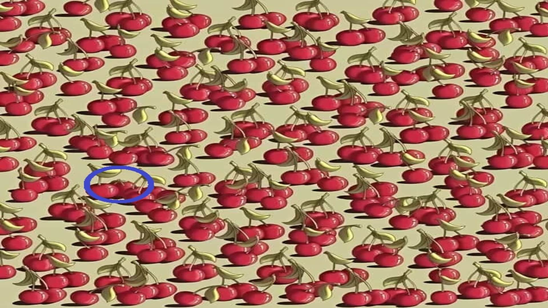 Optical Illusion: Can you Spot the tomato among cherries in 9 seconds Check your brain iq