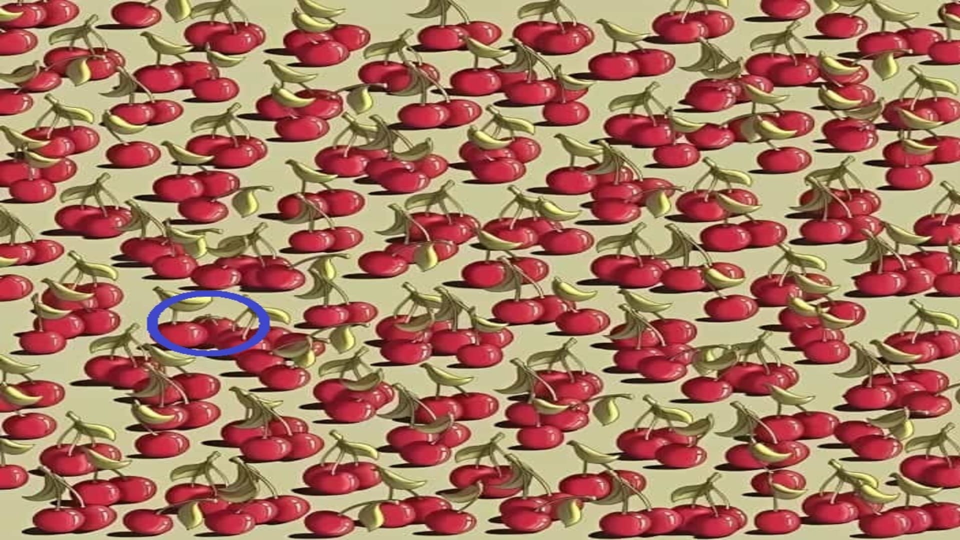 Optical Illusion: Can you Spot the tomato among cherries in 9 seconds Check your brain iq