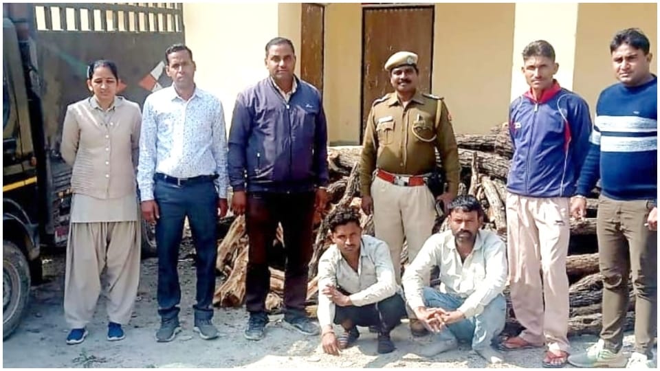 Police caught 3540 kg of illegal Khair wood in Chittorgarh five accused arrested