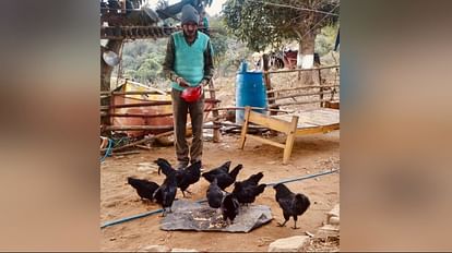 बंगाणा क्षेत्र में कड़कनाथ मुर्गों और मुर्गियों को दाना डालता व्यक्ति।