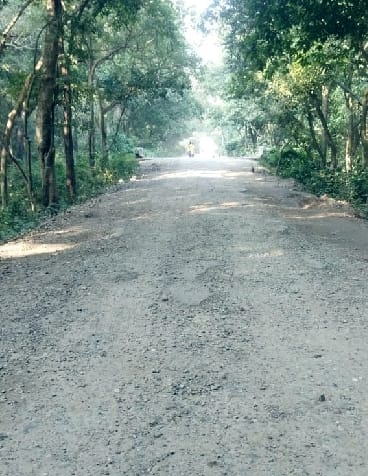 The dilapidated roads of the border are not improving, the proposals sent stopped at the government level