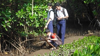 save environment for future generations, Environmental Education & Nature-Based Learning,