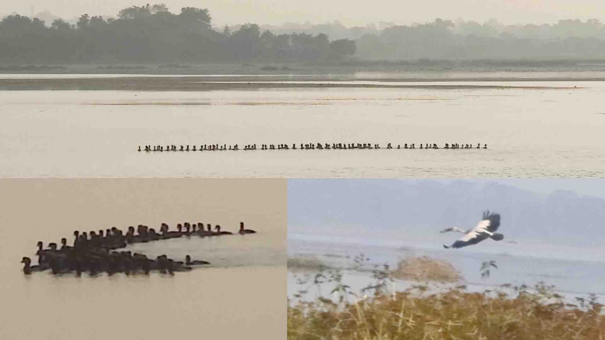 UP Bird and Nature Festival in Mahoba, Vijay Sagar Bird Sanctuary