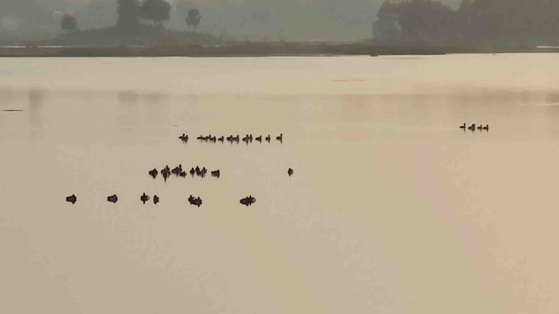 UP Bird and Nature Festival in Mahoba, Vijay Sagar Bird Sanctuary