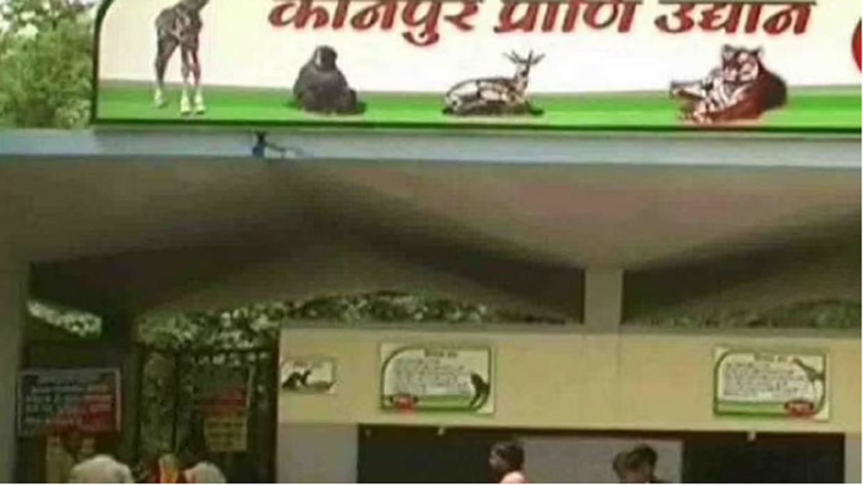 Zoo theft case: Smudged fingerprints found on vault