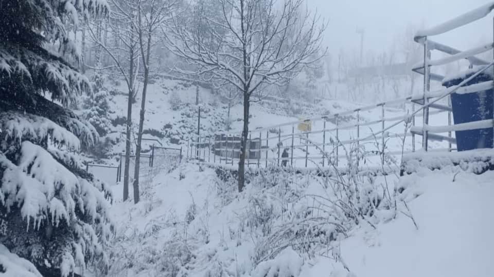 Uttarakhand Weather News Tourist Enjoy Heavy Snowfall In Auli Beautiful Photos