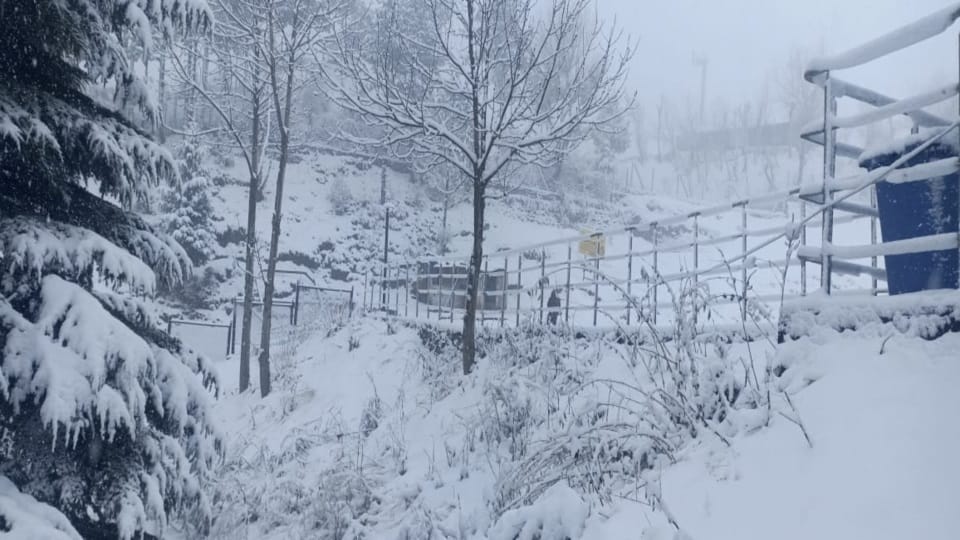 Uttarakhand Weather News Tourist Enjoy Heavy Snowfall In Auli Beautiful Photos