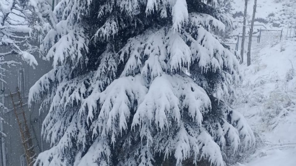 Uttarakhand Weather News Tourist Enjoy Heavy Snowfall In Auli Beautiful Photos