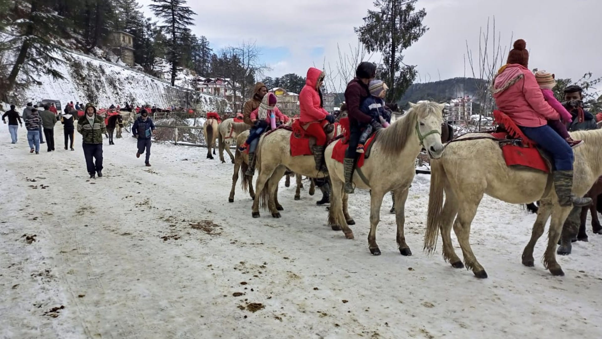Himachal Weather Update 481 Road Blocked 2223 Power Transformer And 19 Water Supply Schemes Disrupted