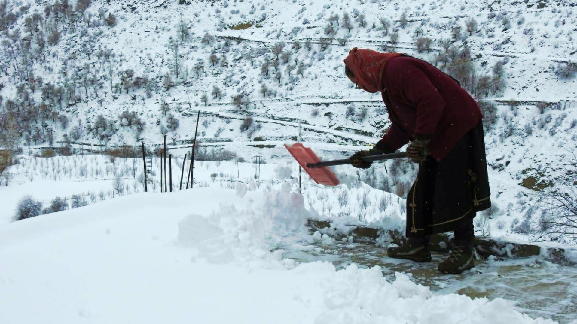 himachal weather update heavy snowfall in kinnaur and lahaul spiti two avalanche in kinnaur lahaul