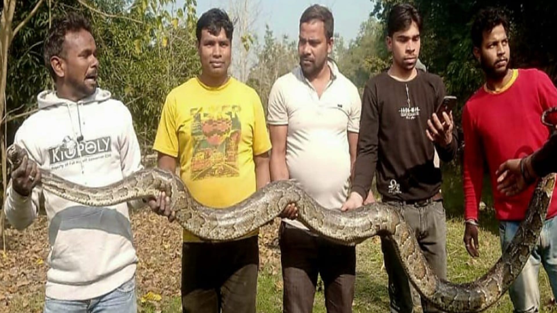 A 15 feet long python has seen in field in Nehtaur area of Bijnor district and photos