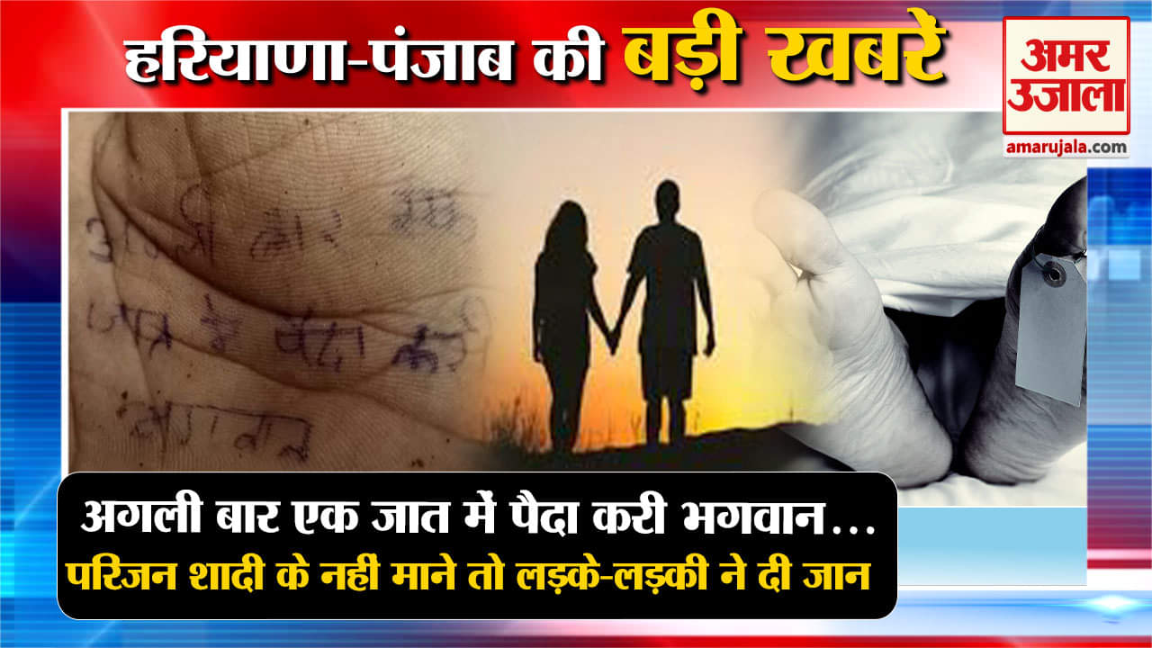 हरियाणा न्यूज