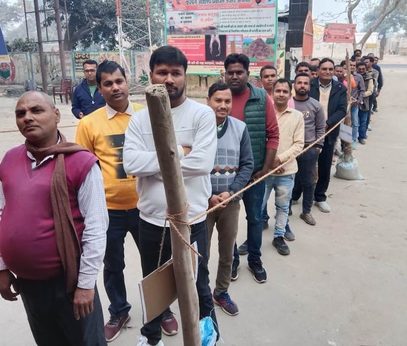 45.23 percent voting in MLC elections