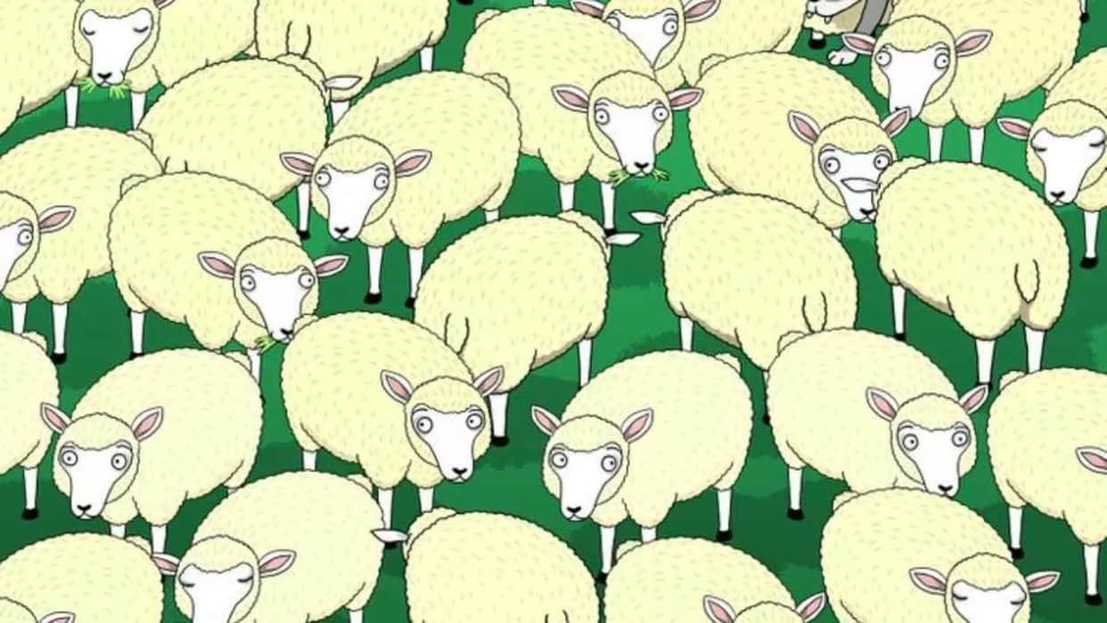 Optical Illusion IQ Test: Can you find Hidden Wolf Among the Sheep in 7 Secs? Check Your Brain Iq