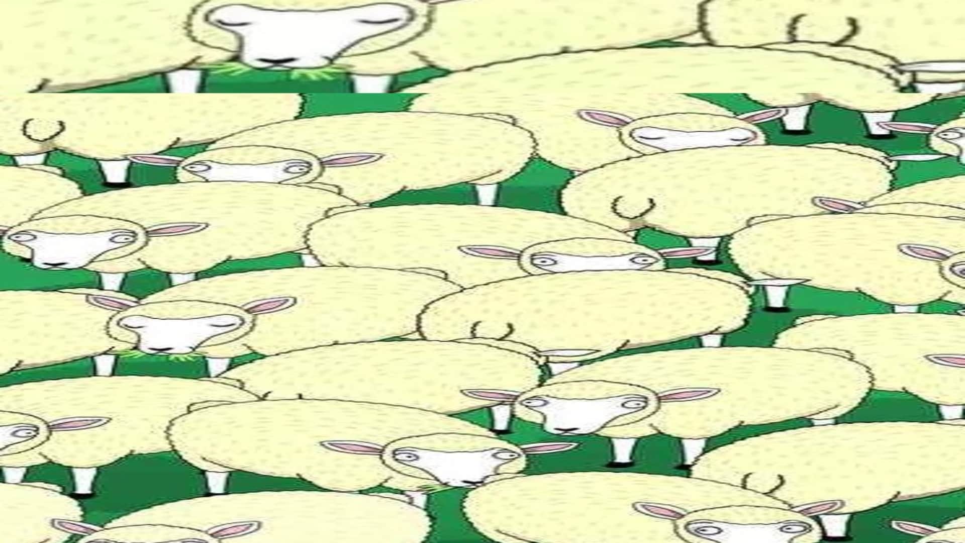 Optical Illusion IQ Test: Can you find Hidden Wolf Among the Sheep in 7 Secs? Check Your Brain Iq