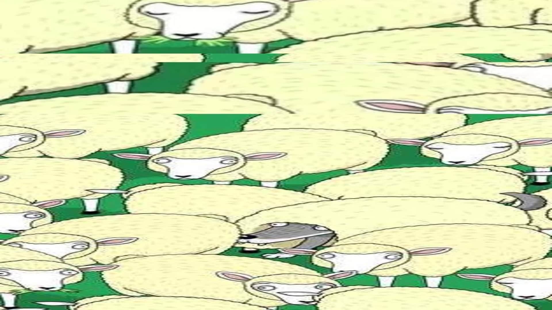Optical Illusion IQ Test: Can you find Hidden Wolf Among the Sheep in 7 Secs? Check Your Brain Iq