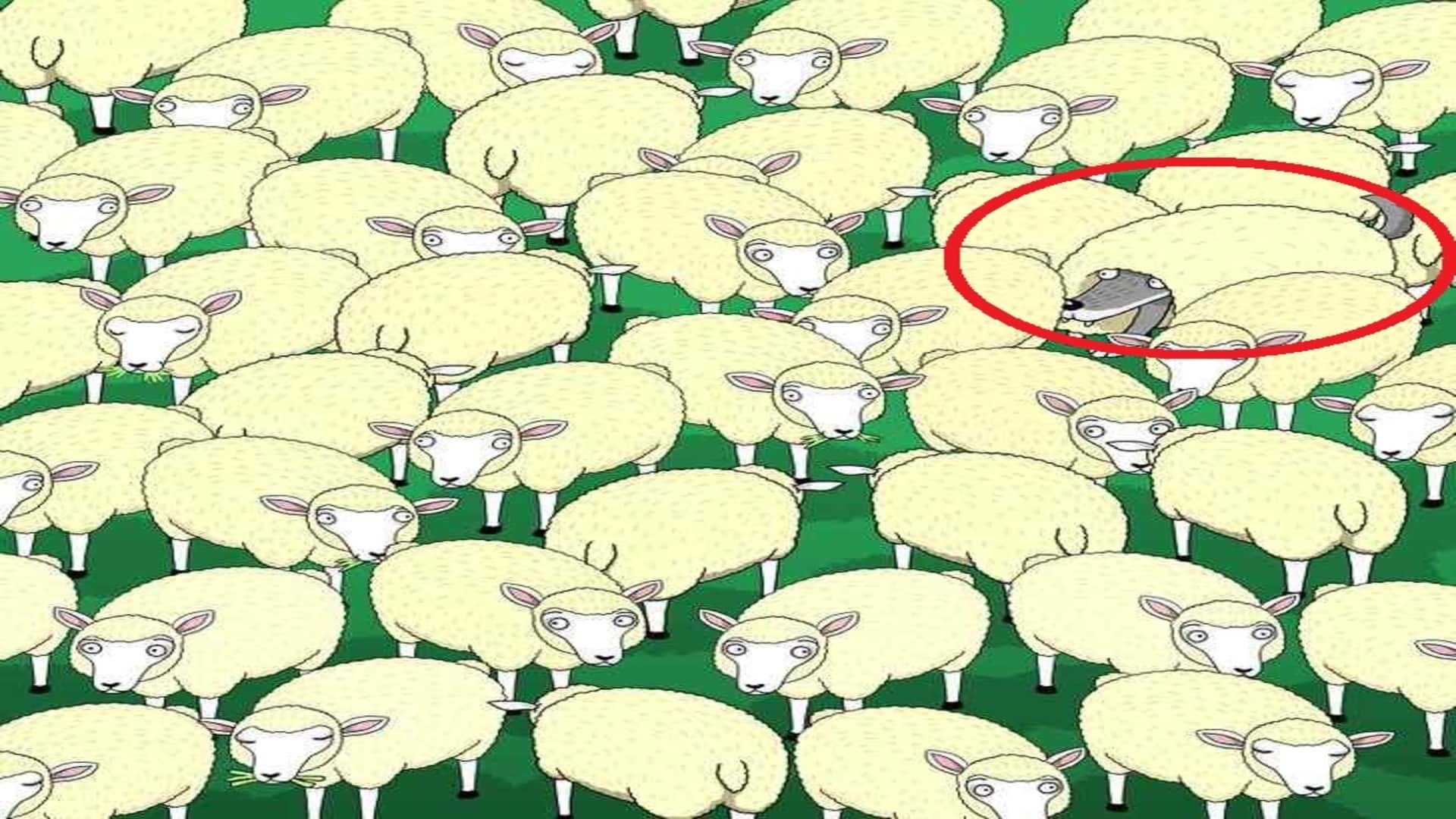 Optical Illusion IQ Test: Can you find Hidden Wolf Among the Sheep in 7 Secs? Check Your Brain Iq