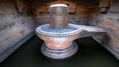 Mahashivratri 2024 Vastu Tips shivratri on 8 march bring parad shivling to remove vastu dosh