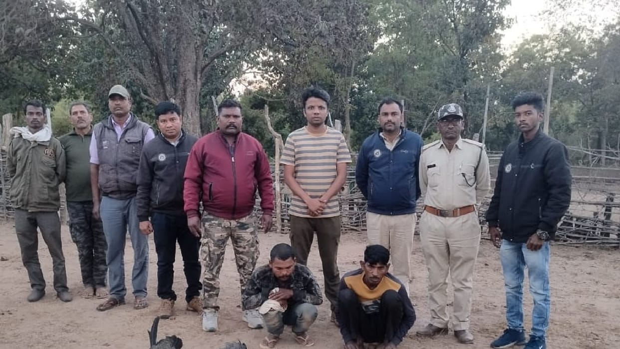 Bandhavgarh Tiger Reserve: Peacock poachers arrested by forest department team