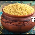 वित्त मंत्रू निर्मला सीतारमण ने बजट 2023-24 में श्री अन्न योजना की घोषणा की